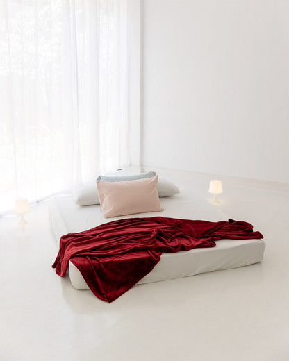 TV Blanket